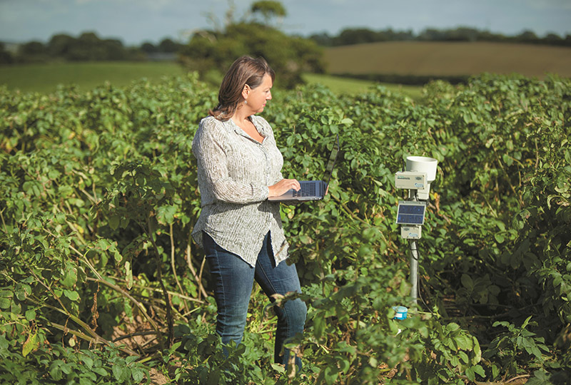 Female farmer checking crops