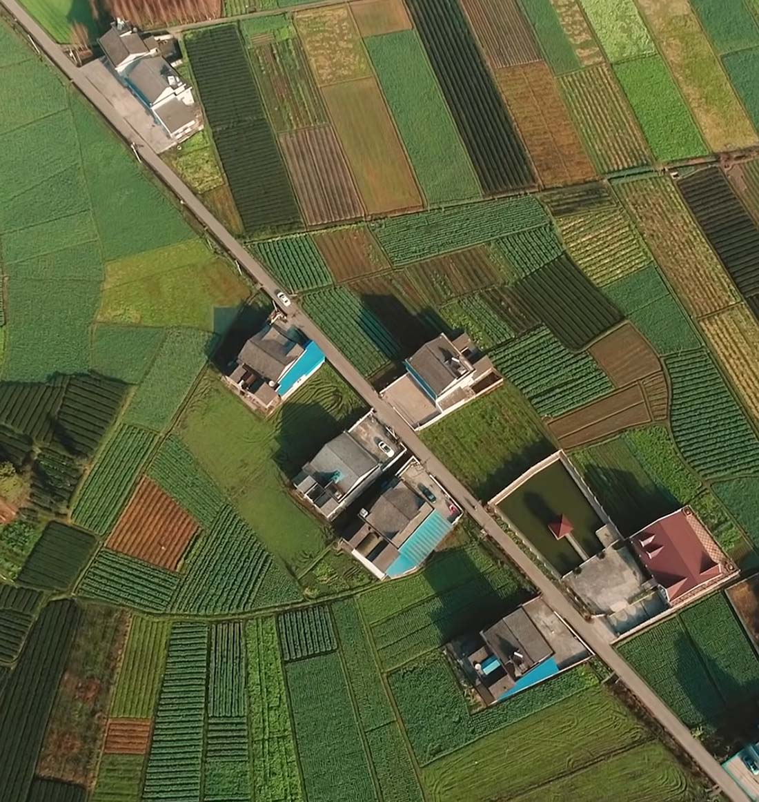 Aerial view of buildings on a farm