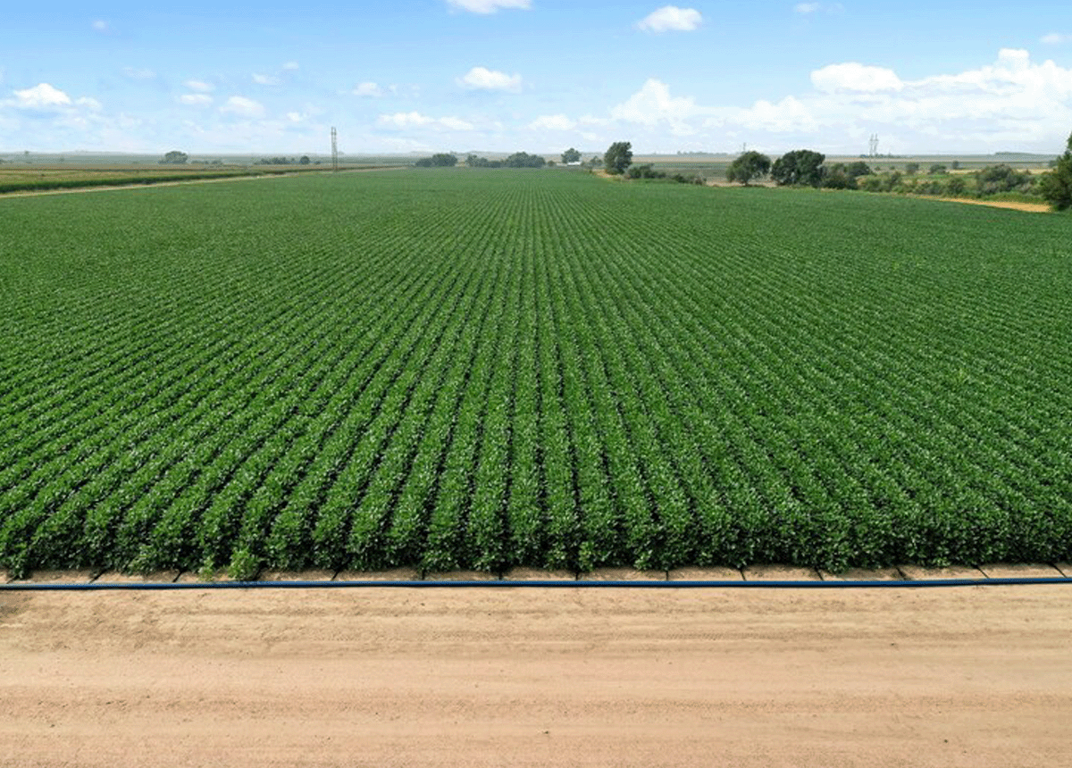 PepsiCo announces agriculture accelerator projects to support farmer livelihoods, scale sustainable innovation and accelerate regenerative agriculture across the globe