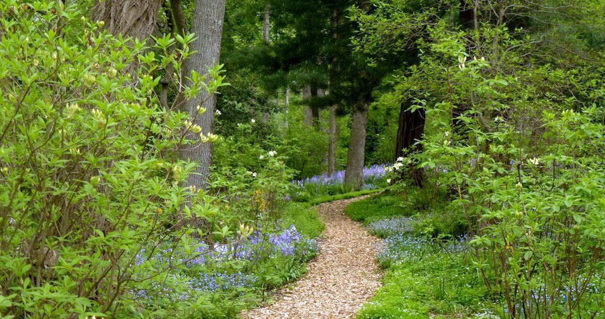 Pathway in the Donald M. Kendall Sculpture Gardens at Purchase, NY