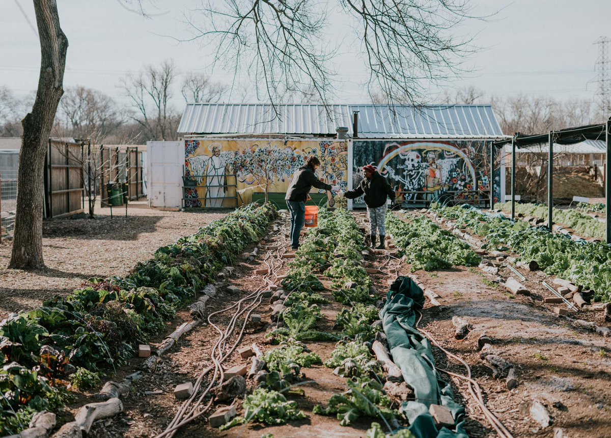 https://www.pepsico.com/images/default-source/stories/bonton-farms-black-changemaker---stories_story-hero-image-1200x860.png?sfvrsn=7b35b93a_3