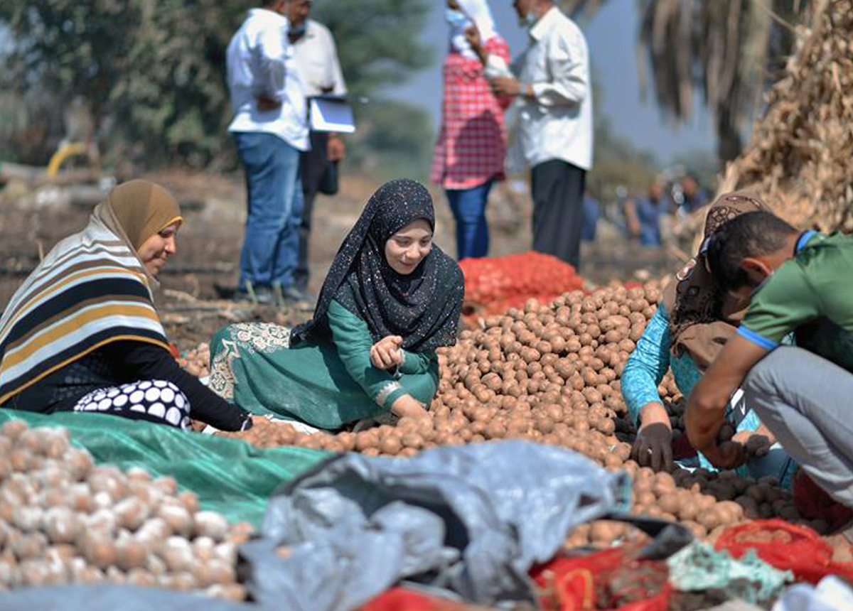 https://www.pepsico.com/images/default-source/stories/she-feeds-the-world-shaimaa-esmail-mohamad-story-landscape-thumbnail.png?Status=Master&sfvrsn=472d2fde_1