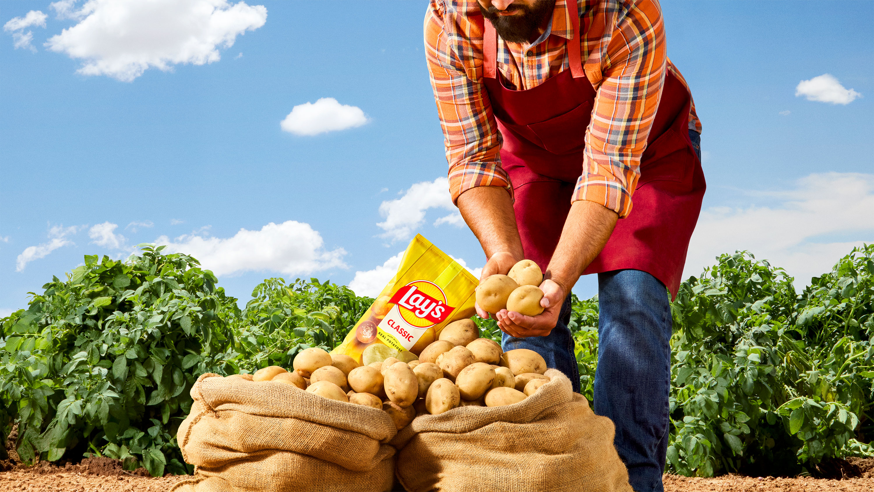 Lay's potatoes