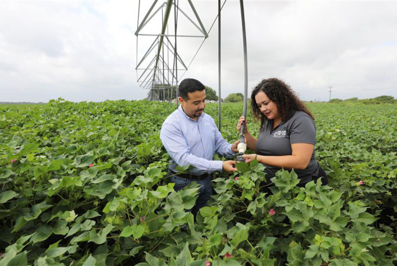How PepsiCo is making every drop of water count