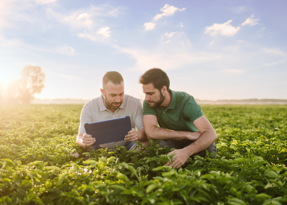 Weather, worms and water: Meet the PepsiCo agriculture team