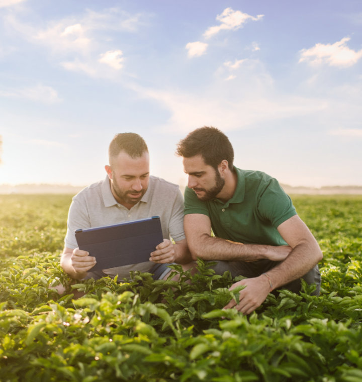 Weather, worms and water: Meet the PepsiCo agriculture team
