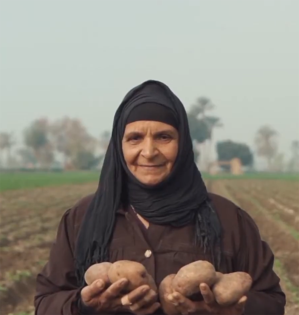 sustainability-ag-video-potatoexp