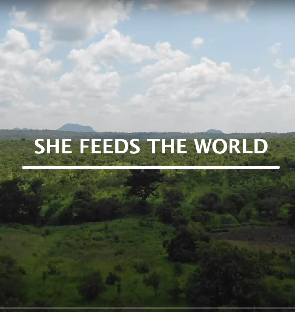sustainability-ag-video-sftw