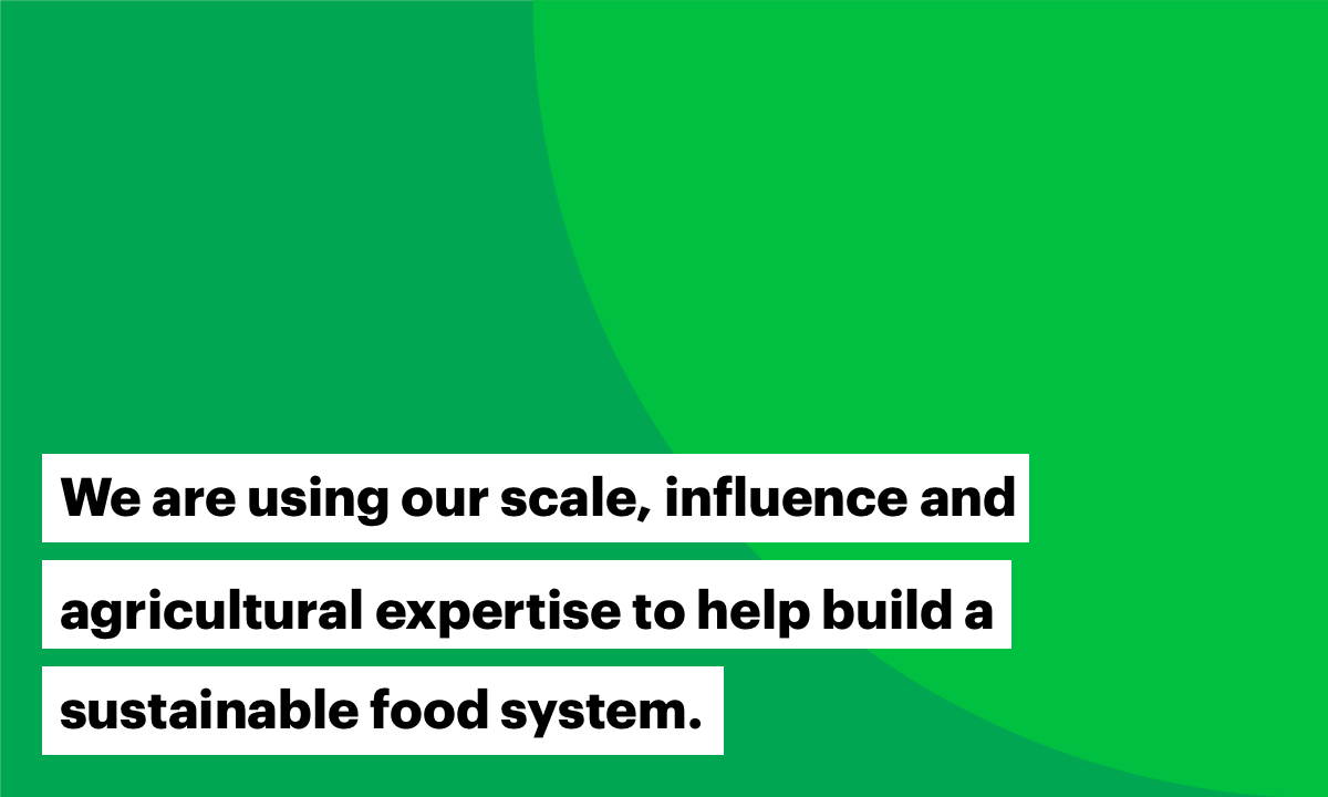 We are using our scale, influence and agricultural expertise to help build a sustainable food system.