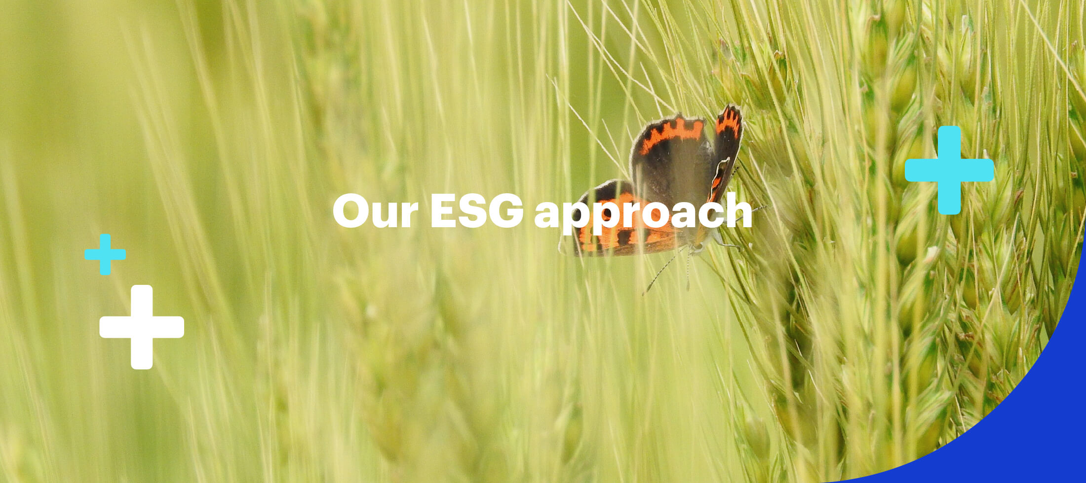 Our ESG Approach
