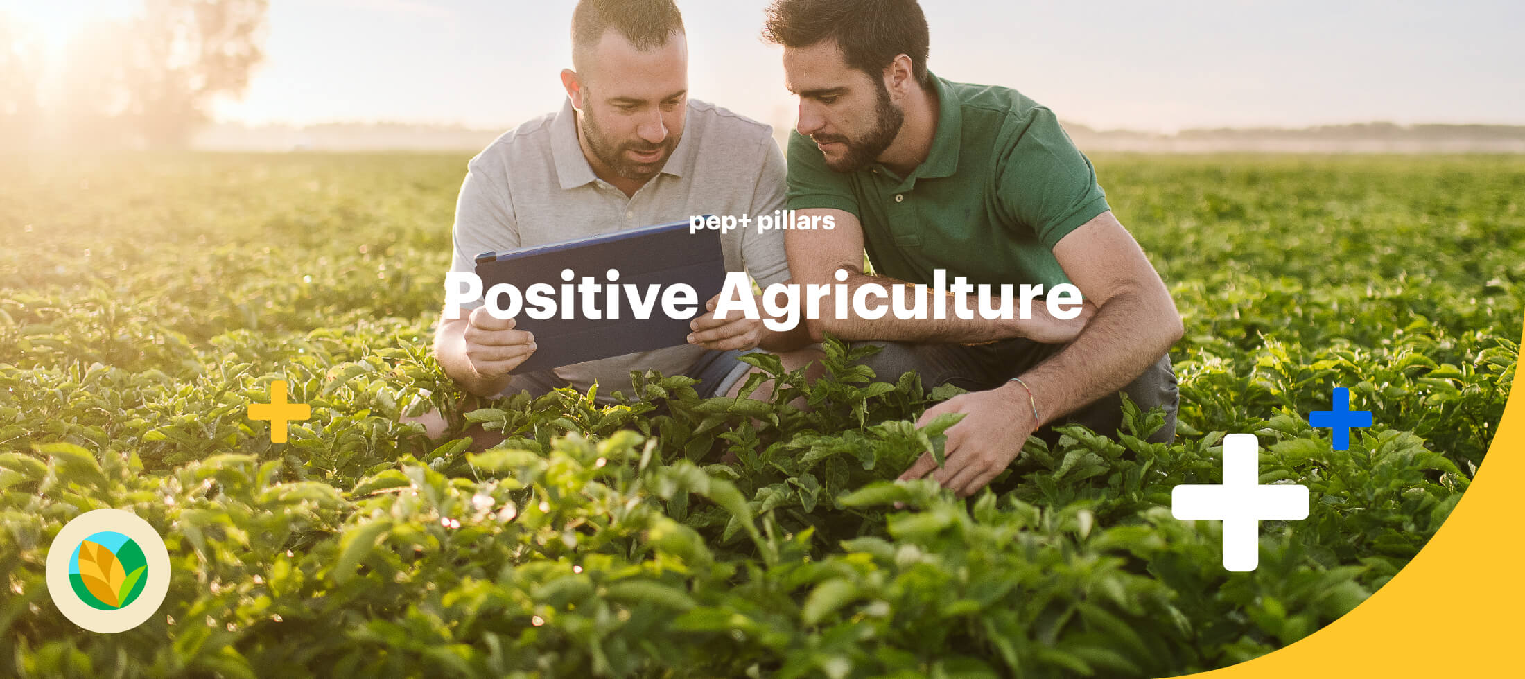 pep+ pillars: Positive Agriculture