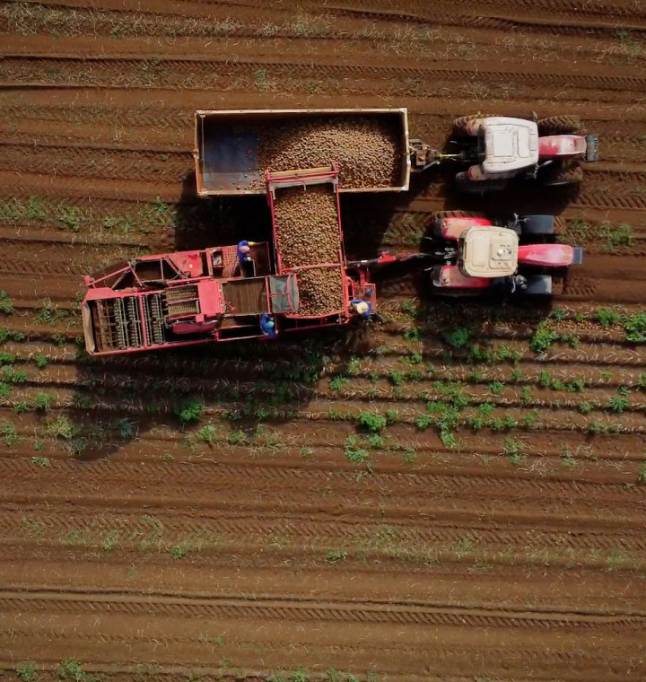 Overhead shot of tractors gathering crops in a field