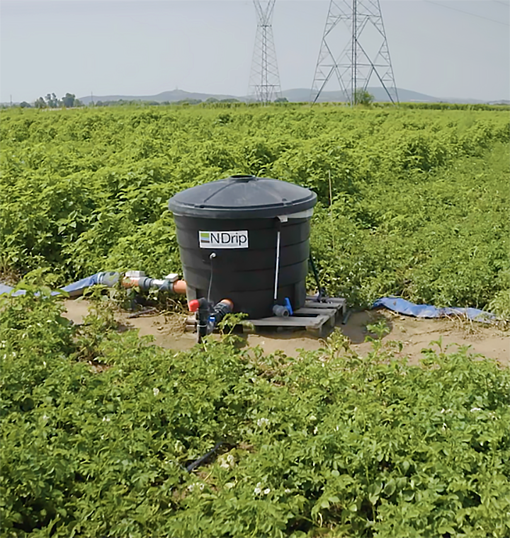 N-Drip irrigation system at a farm in Greece