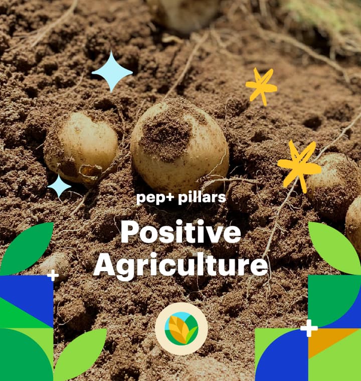 pep+ pillars: Positive Agriculture