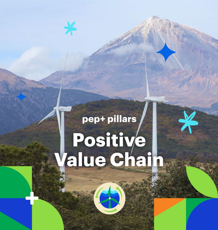 pep+ pillars: Positive Value Chain