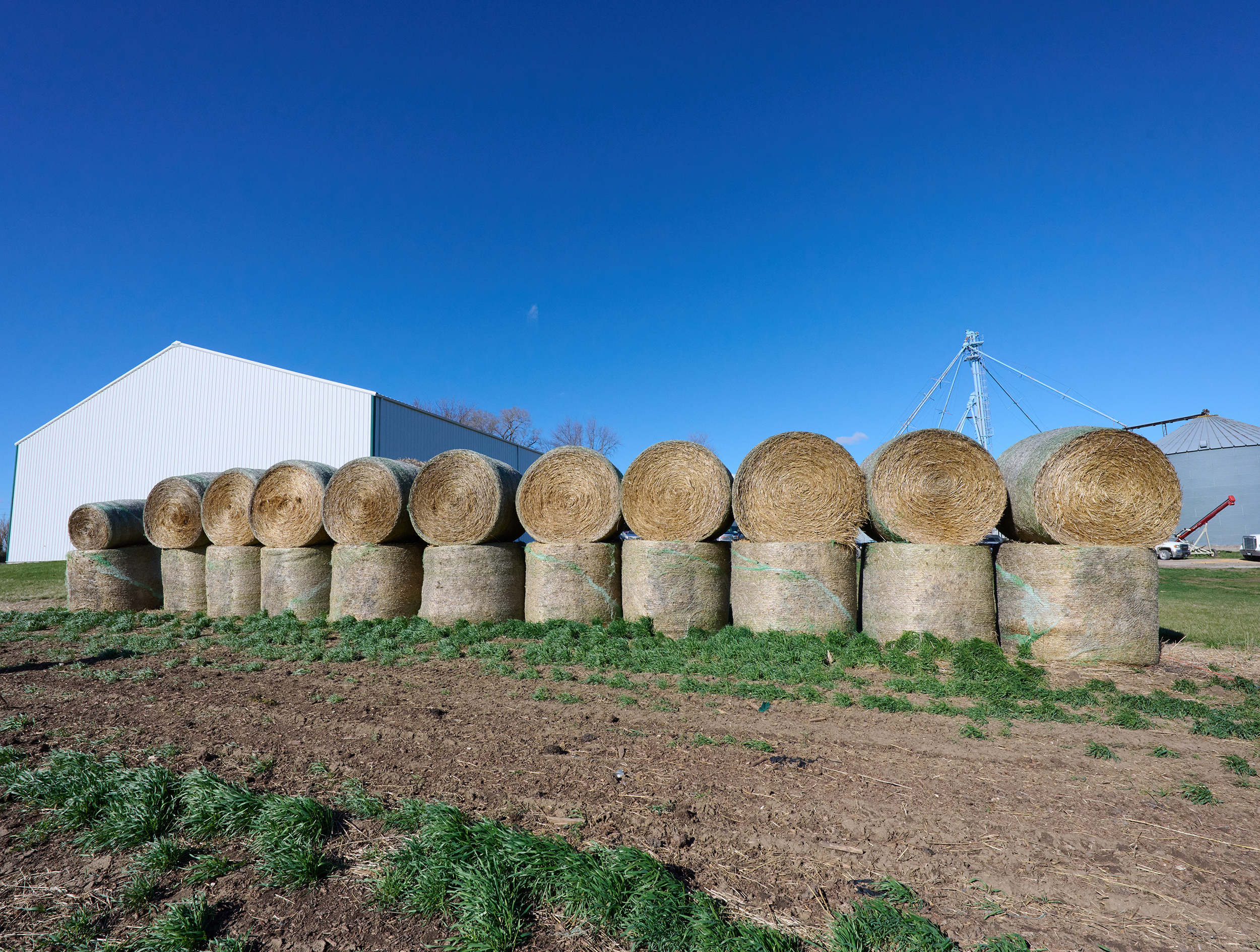 Hay bales on a farm
