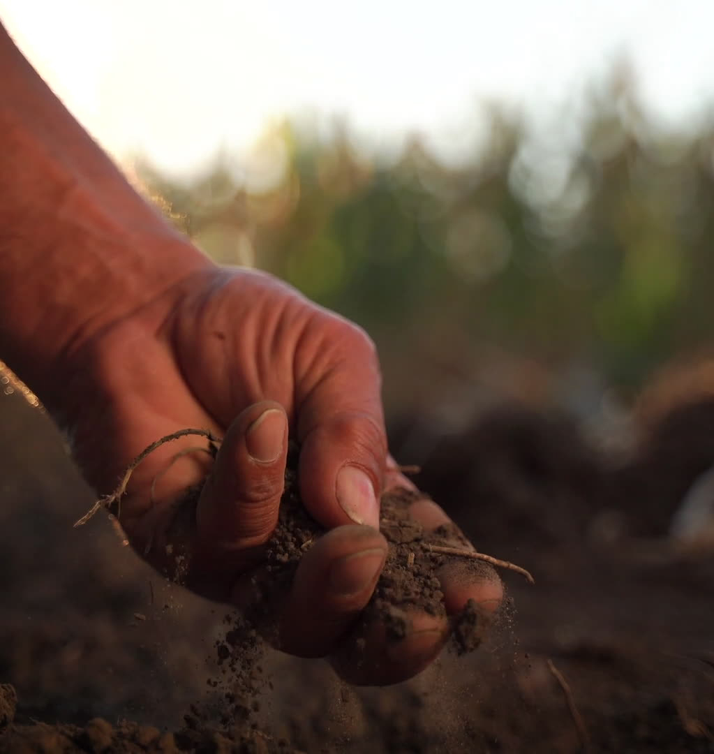 Hand sifts through dirt