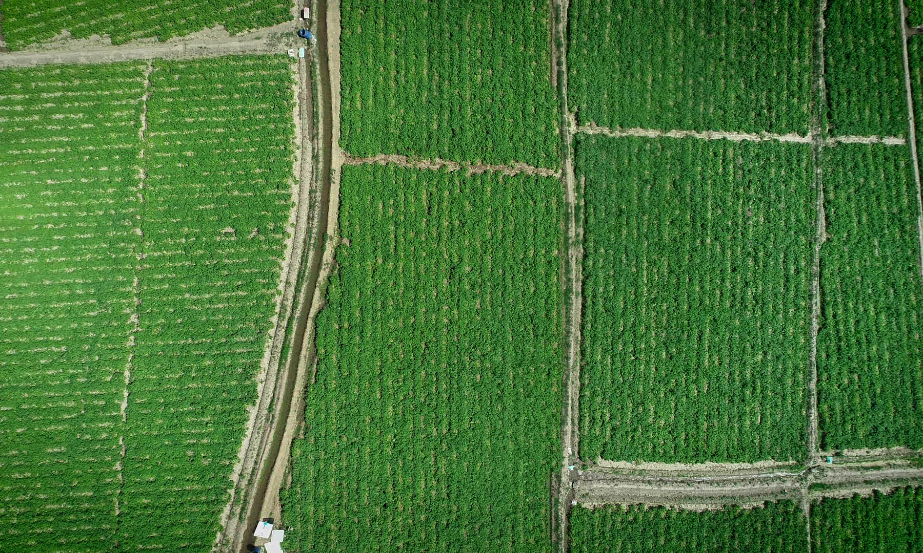 Aerial view of farmland