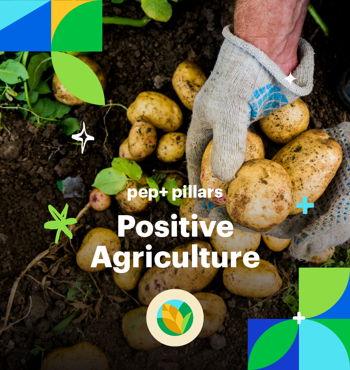 pep+ pillars: Positive Agriculture