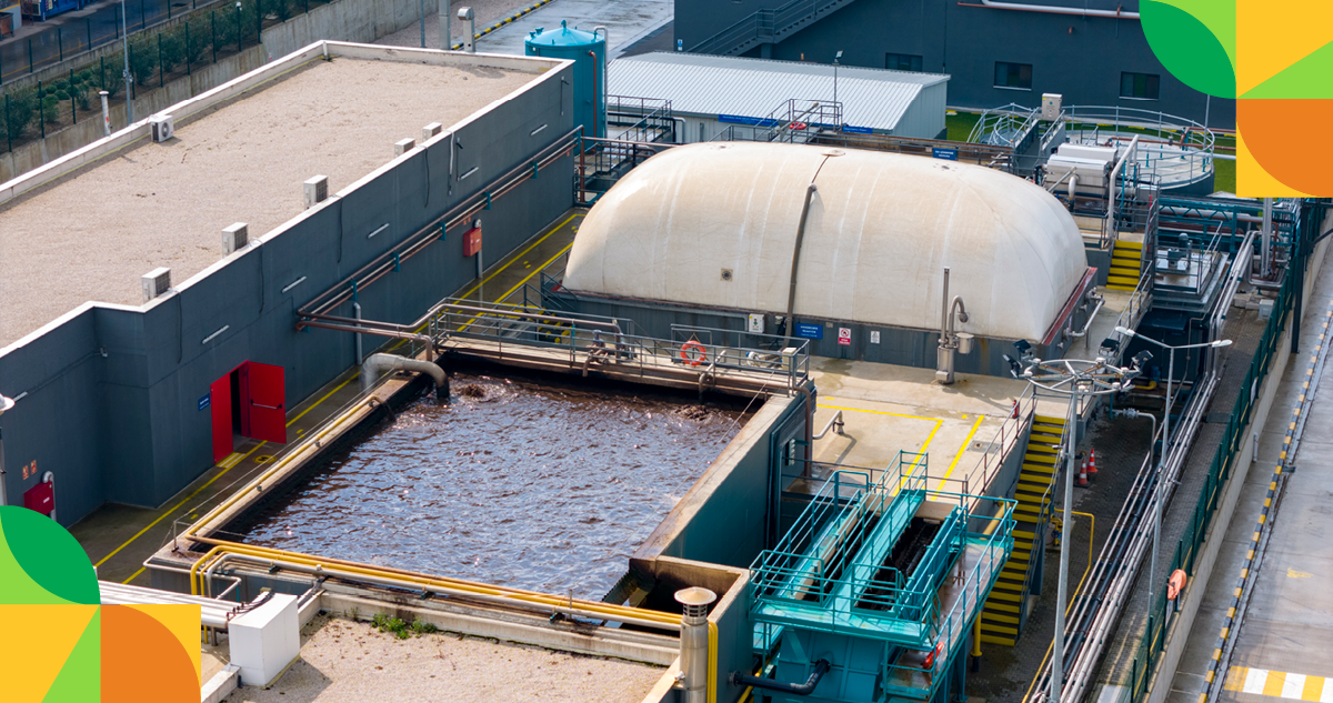 Upper view of a water plant