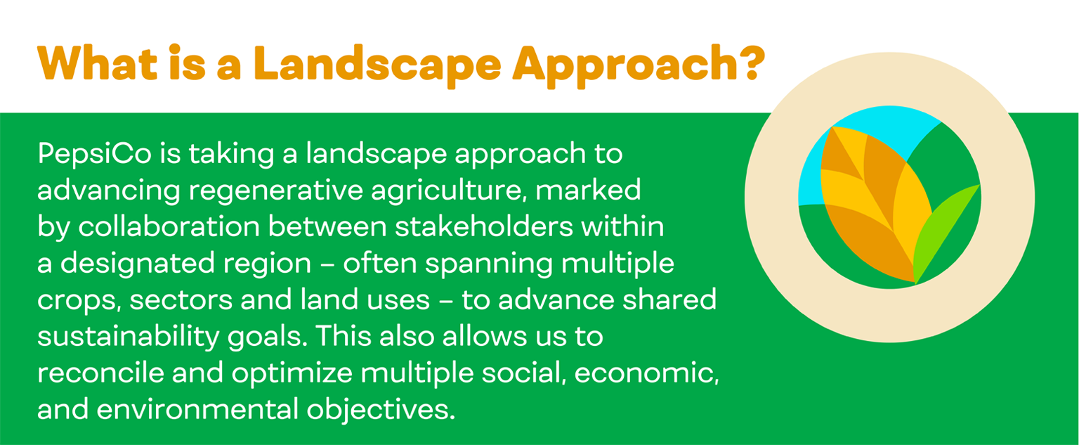 What is a Landscape Approach?