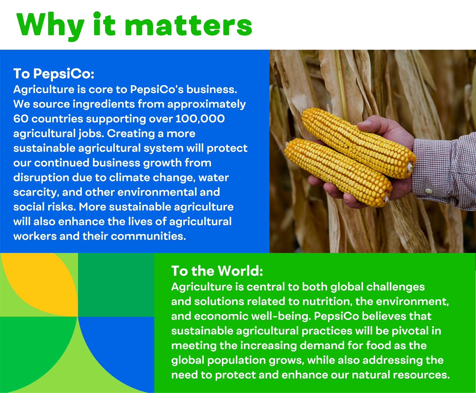 Why it matters to PepsiCo and the world: We source ingredients from approximately 60 countries supporting over 10,000 agricultural jobs. Agriculture is central to both global challenges and solutions.