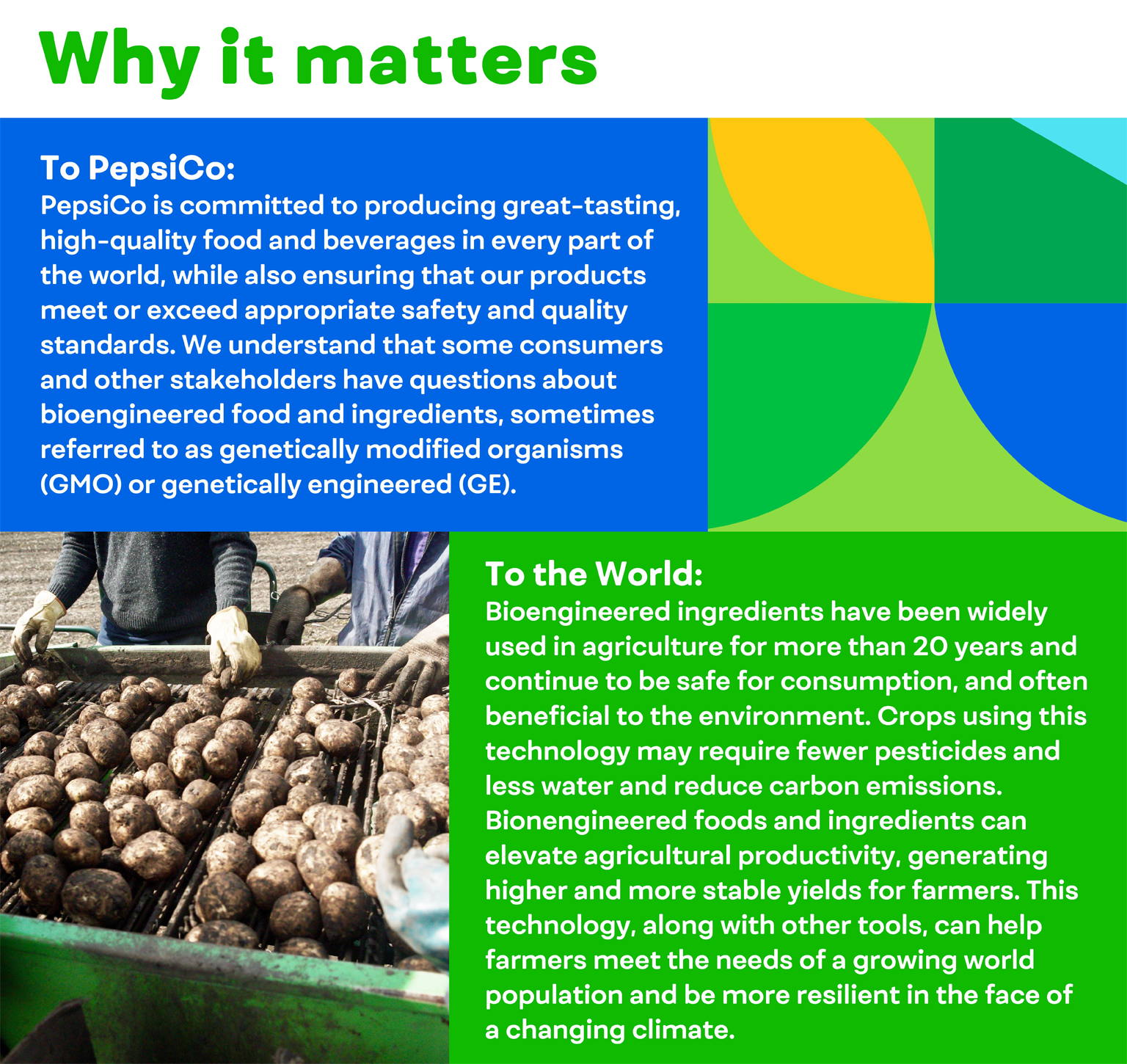 Exploring the World of Bioengineered Food Ingredients