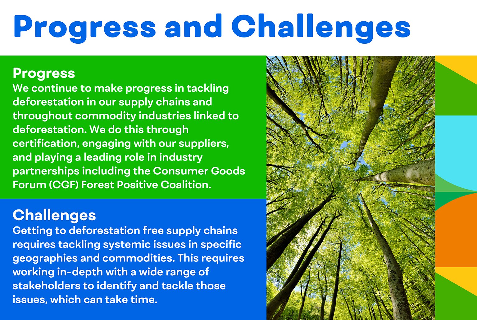 deforestation-progress-challenges