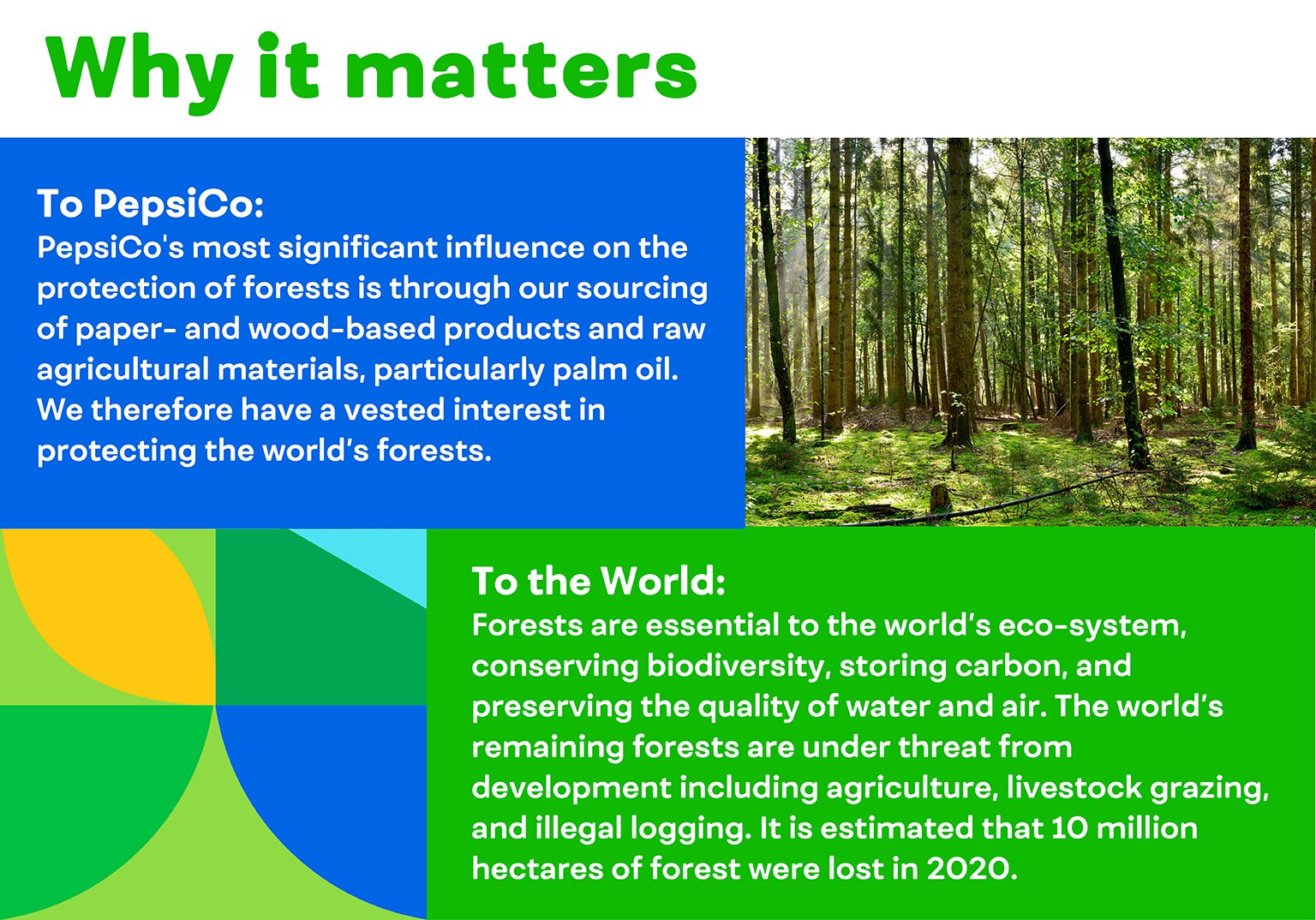 deforestation-why-it-matters