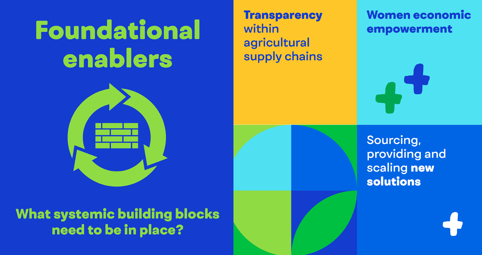 Foundational enablers: What systemic building blocks need to be in place?
