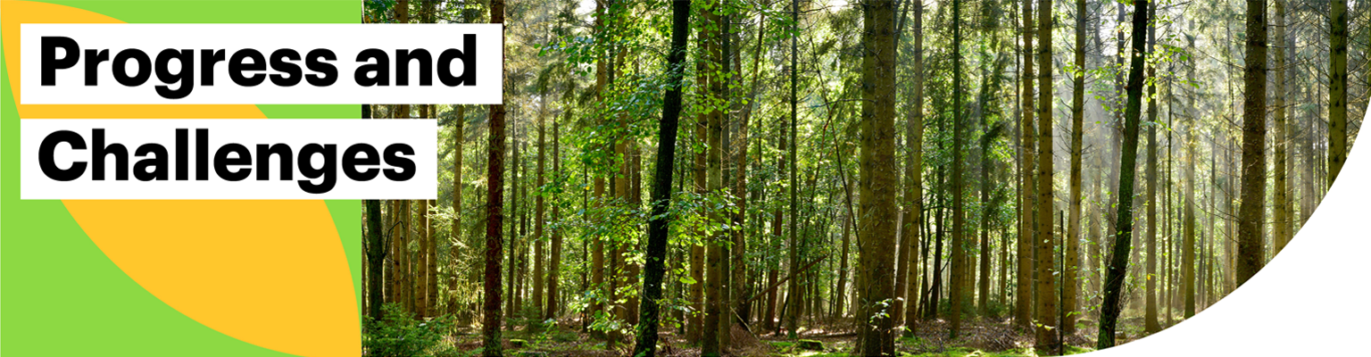 Progress and Challenges. Image of trees in a forest.