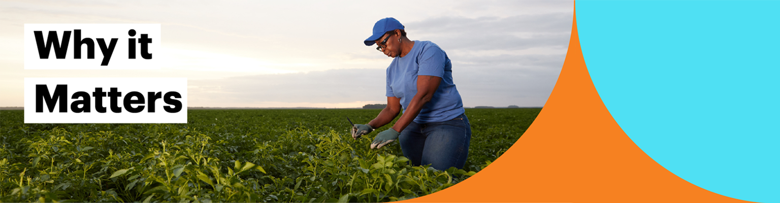 Why it Matters. Image of person working in a crop field.