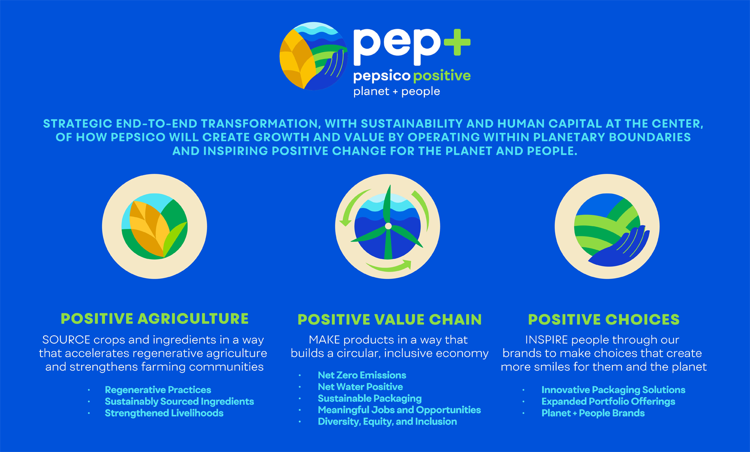 Infographic summary of the pep+ pillars: Positive Agriculture, Positive Value Chain, and Positive Choices.