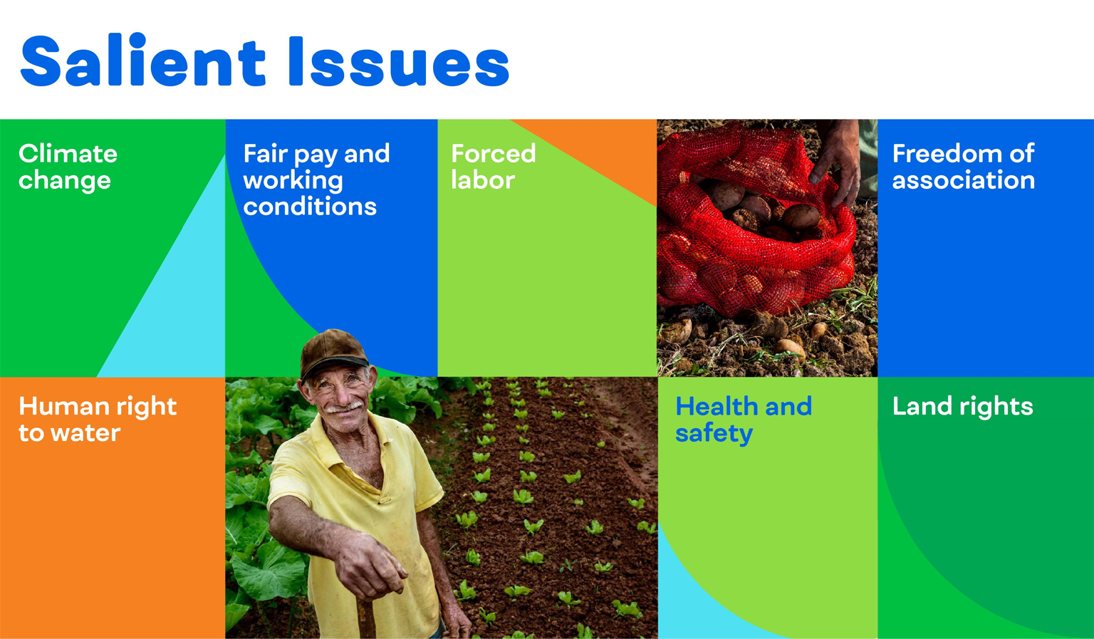 Salient Issues: Climate change; Fair pay and working conditions; Forced labor; Freedom of association; Human right to water; Health and safety; Land rights.