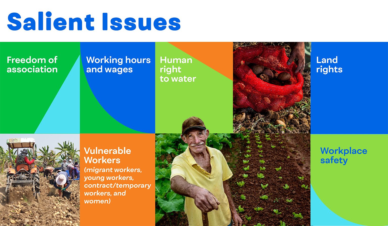 human-rights-salient-issues