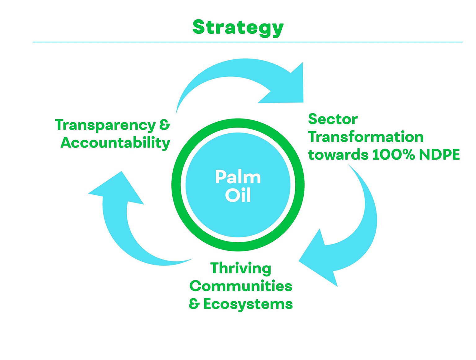 palm-oil-strategy