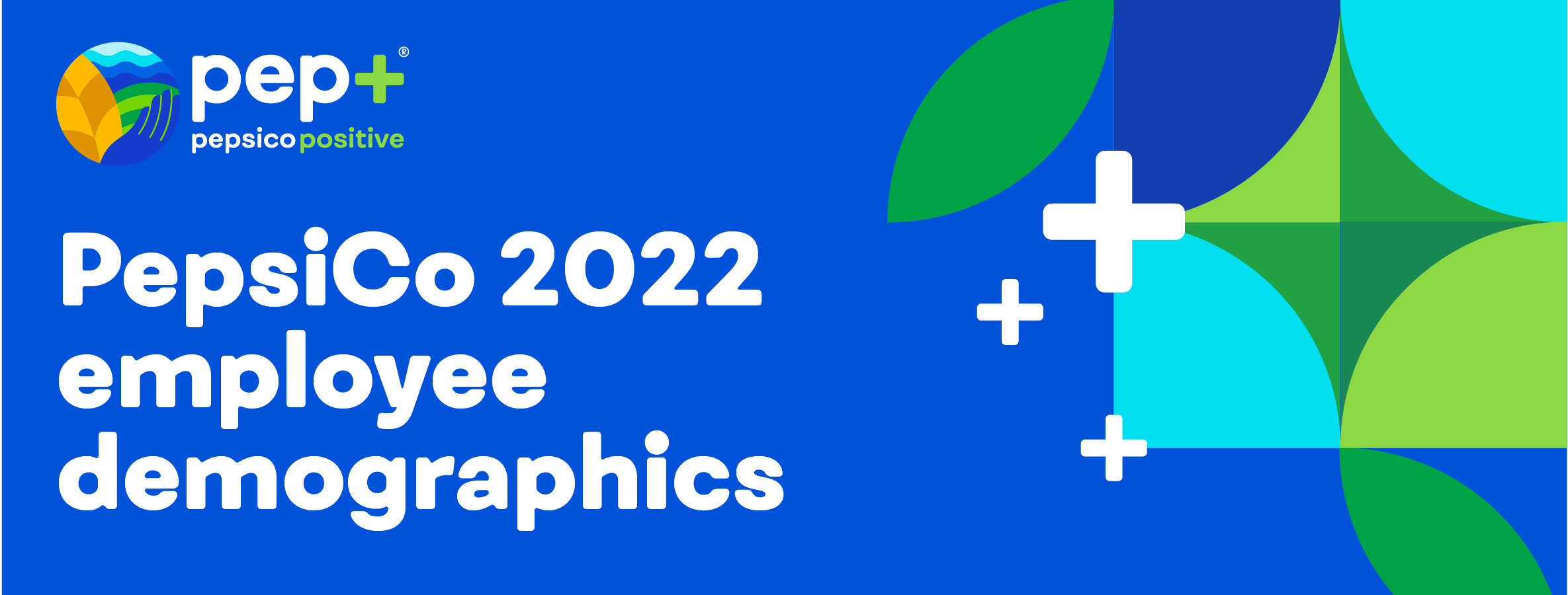 PepsiCo 2022 employee demographics